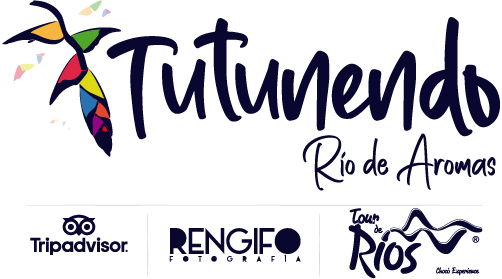 Logo Tutunendo